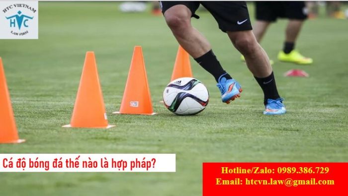 Cá độ bóng đá thế nào là hợp pháp?